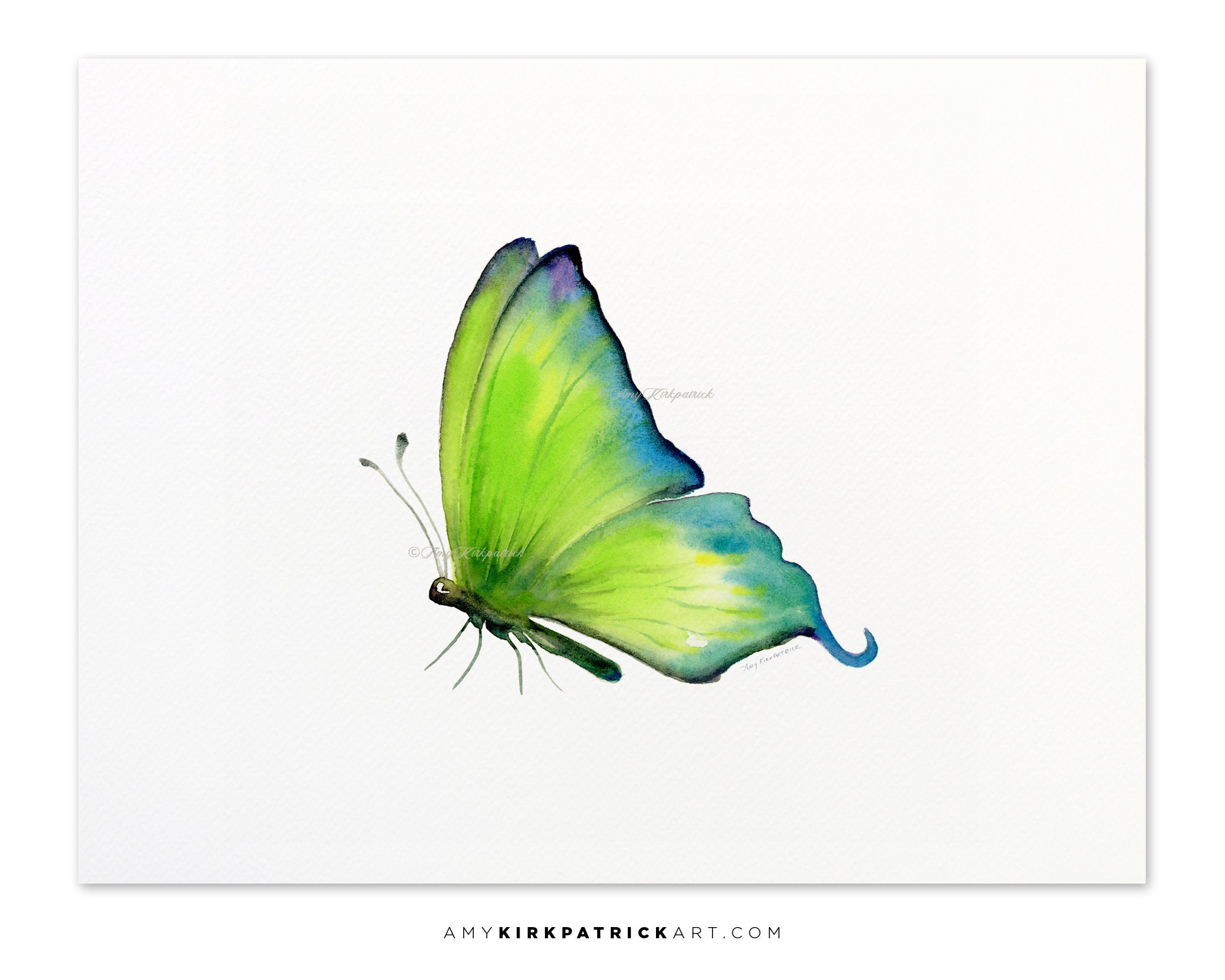 Green Butterfly Painting Butterfly Art Butterfly Print