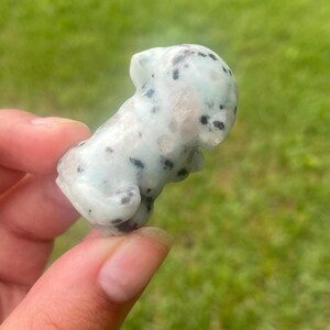 May include: A small, carved dog figurine in a seated pose. The sculpture is made of a pale green stone with black speckles. The dog has rounded ears and a small tail. The figurine is held in a hand, with a green background.