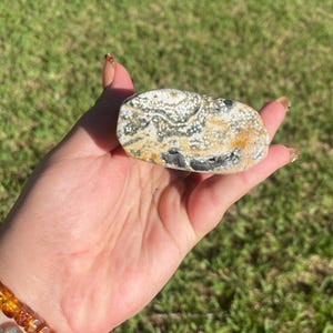 May include: A polished, oblong stone with a speckled pattern of white, gray, and black spots, and areas of tan and orange. The stone is held in a hand against a backdrop of green grass. The stone's surface is smooth and appears to be natural.