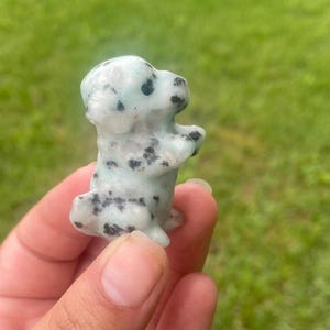 May include: A small, carved dog figurine in a standing pose. The dog is light green with black spots, and the details of the face and body are clearly defined. The figurine is held against a blurred green background.