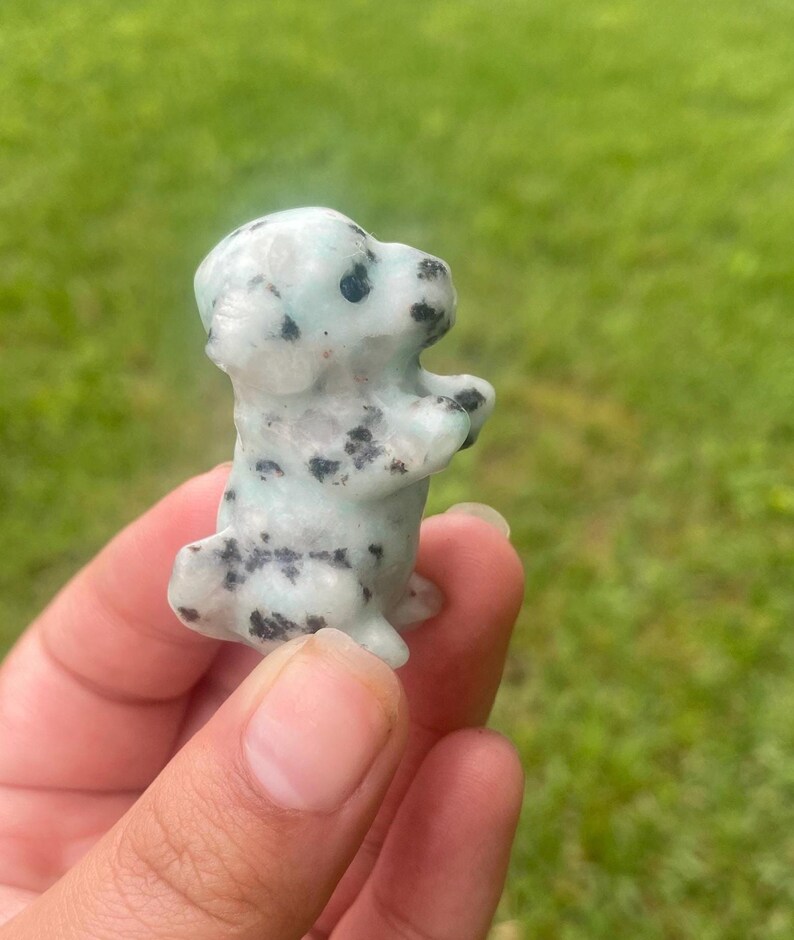 May include: A small, carved dog figurine in a standing pose. The dog is light green with black spots, and the details of the face and body are clearly defined. The figurine is held against a blurred green background.