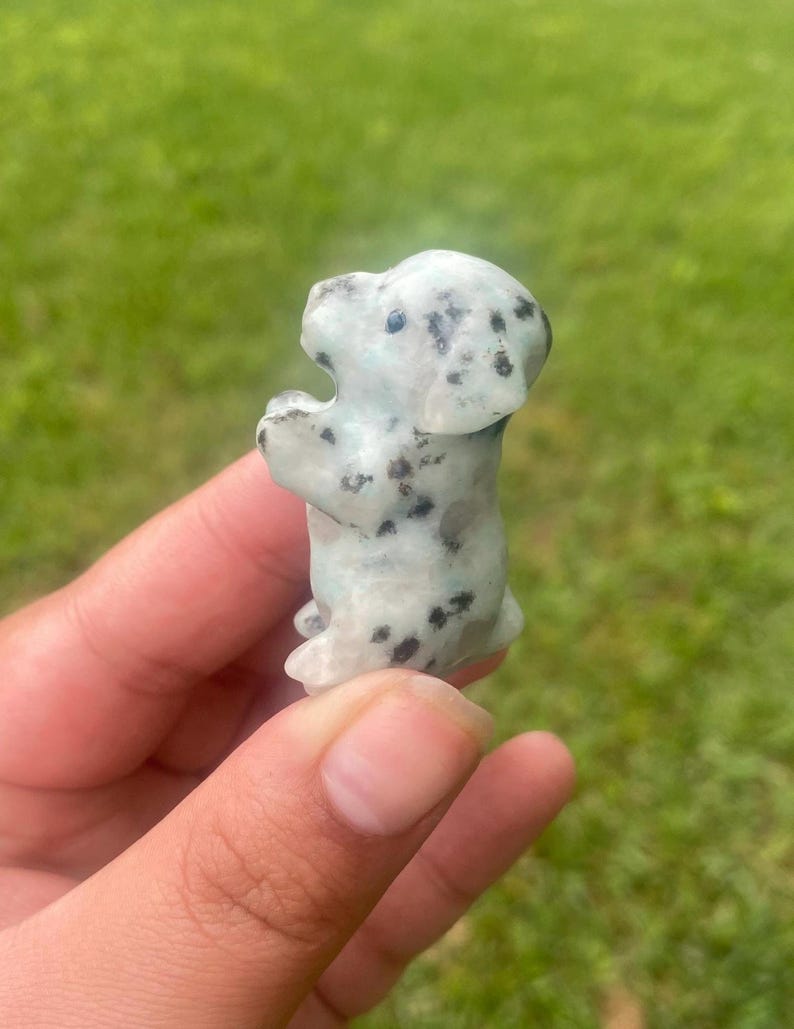 May include: A small, carved dog figurine in a sitting pose. The dog is light green with black spots, possibly made of stone. The figurine is held in a hand against a backdrop of green grass. The dog's design resembles a Dalmatian.