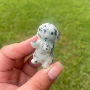 May include: A small, light green and black spotted stone figurine of a dog. The dog is standing upright with its front paws raised. The background is blurred green grass.