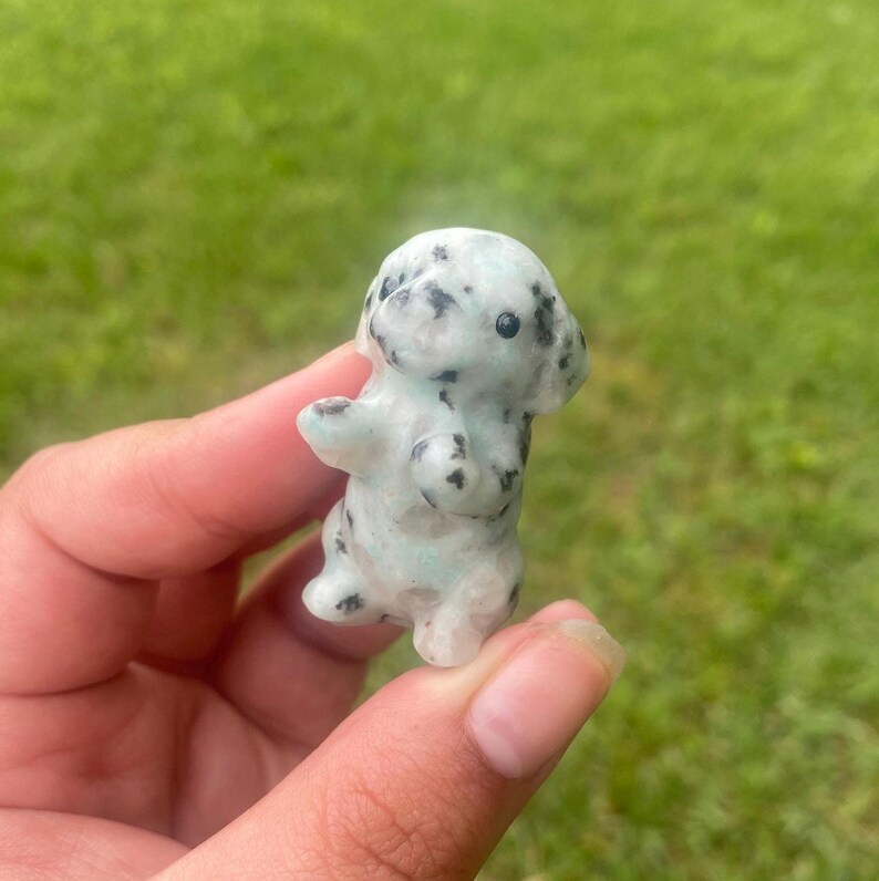 May include: A small, light green and black spotted stone figurine of a dog. The dog is standing upright with its front paws raised. The background is blurred green grass.