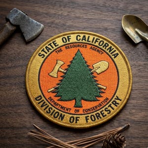 California Division of Forestry Embroidered Patch, State Resources Agency Iron On Badge, Vintage Forestry Dept Aesthetic