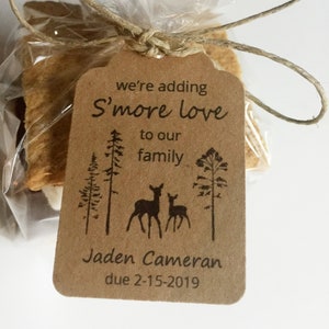 10 Smore kit, Smore bar, kit for baby shower favors