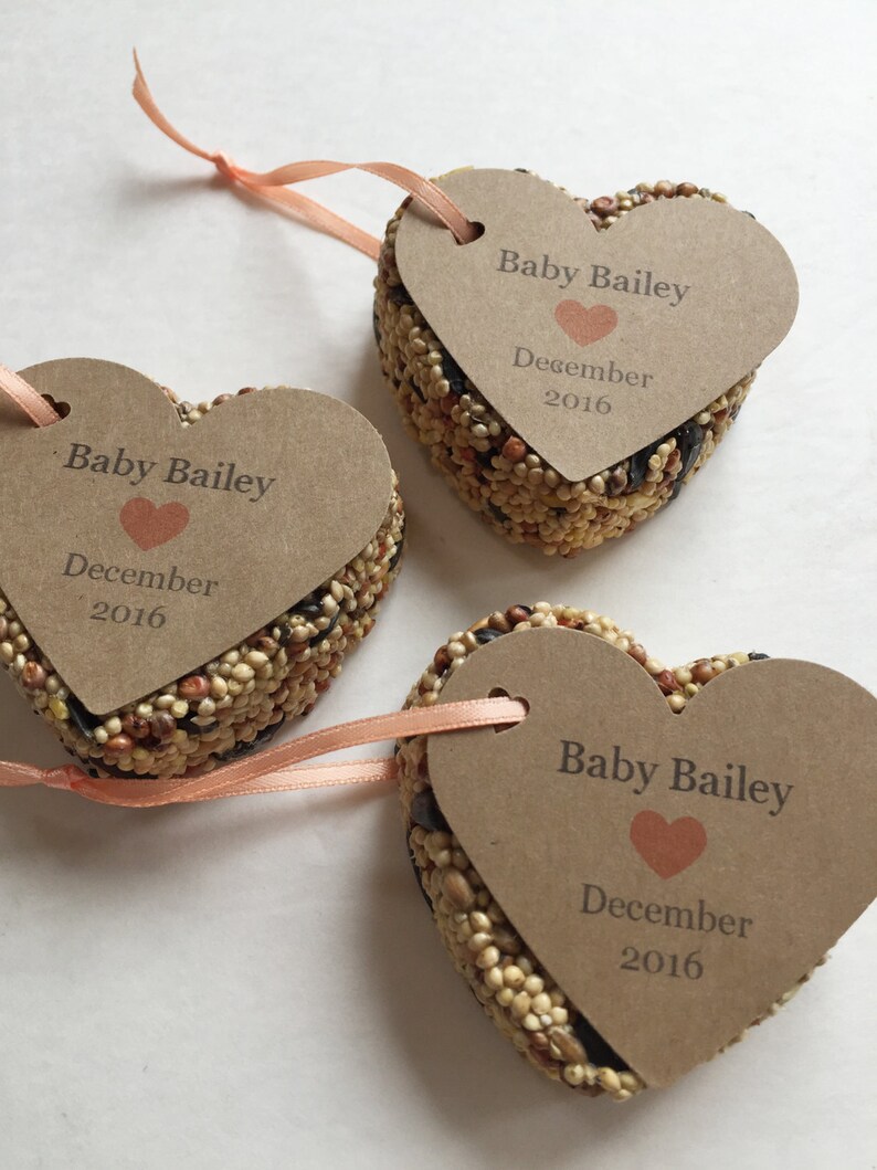 15 Baby Shower Bird Seed Favors Baby shower favors Etsy