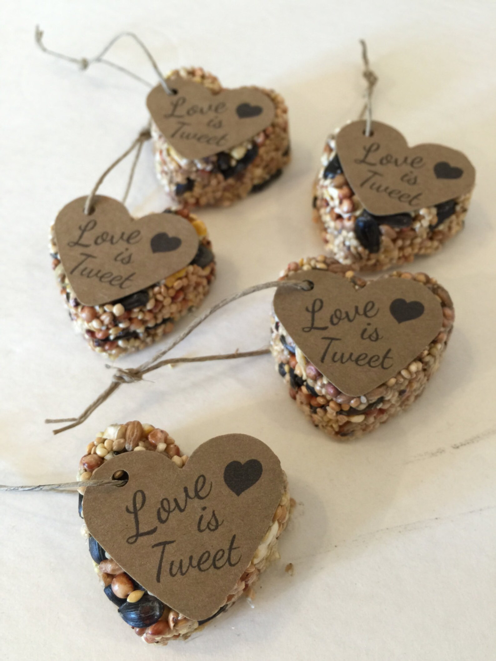 50 Bird Seed Heart Shaped Favor MINI Love is Tweet Bridal Etsy