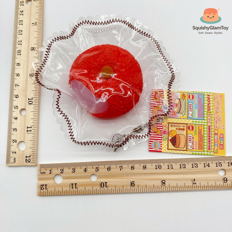 Squishy Ruler Bitten Lychee Squishy – Realistic Fruit Stress Toy, Slow Rise - Etsy