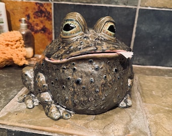 Die Toiletten-Kröte