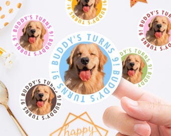 Custom Pet Birthday Stickers with Photo, Personalized Dog Cat Party Favors, Puppy Kitten Birthday Labels, Pet Birthday Treats Decor