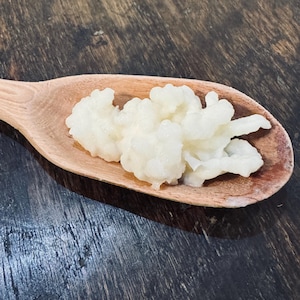 Live Whole Milk Kefir Grains - 1Tbsp
