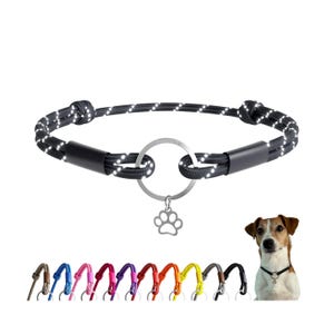 May include: A black and white rope dog collar with a silver charm in the shape of a paw print. The collar has a reflective design and a black clasp. A variety of colored dog leashes are shown below the collar.