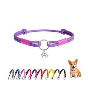 Classic ID Tag Collar for Dogs Cats, Lightweight Adjustable Pet Tag Holder