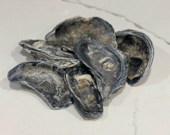 Oyster Shells • Cups & Flats • Natural Seashells • Decoupage Painting Crafts • Beach Wedding, Nautical Decor • Handpicked Long Island Shells