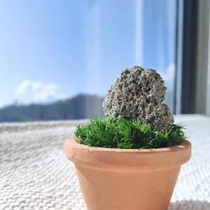 Może przedstawiać: Mały terakotowy doniczka wypełniona żywym zielonym mchem i teksturową, szarą formacją skalną. Doniczka stoi na białej, teksturowanej powierzchni, z jasnoniebieskim niebem i odległymi górami w tle.
