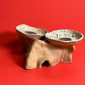 May include: A ceramic serving dish with two bowls. The bowls are speckled with black and white glaze and have a purple glaze in the center. The base is a light brown color with a small hole in the front.