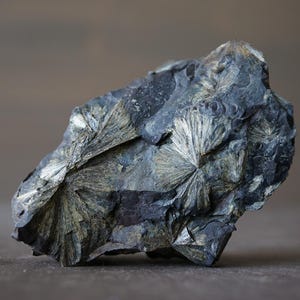 May include: A close-up of a dark gray mineral specimen with radiating, starburst-like patterns in a lighter, silvery-white color. The rock has a rough, textured surface and is set against a blurred, neutral background.