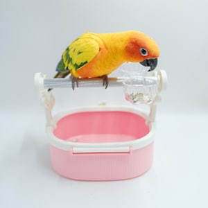 Bird Potty Training Perch, Parrot Play Stand with Removable Tray, Bird Perches