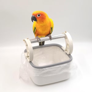 May include: A colourful yellow and orange parrot with a black beak sits on a metal perch above a white and grey birdcage. The cage has a plastic liner. The bird is the main subject of the image.