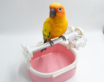 May include: A vibrant orange and yellow parrot perched on a white and pink bird cage accessory. The bird has a black beak and is looking directly at the camera. The cage accessory includes a pink bowl and a small clear cup.