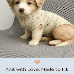 May include: A cream-colored puppy wearing a knit sweater with flecks of dark yarn. The puppy has light brown fur, blue eyes, and is sitting on a gray surface. The sweater is designed to keep the pup warm.