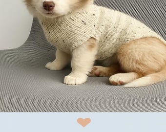 Dog Sweater Knitting Pattern  – Seamless Raglan – PDF A4 Download