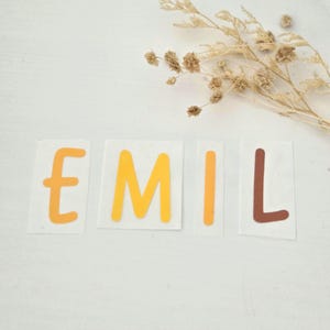 Könnte beinhalten: Das Wort "EMIL" ist in einzelnen Buchstaben geschrieben, jeder auf einem separaten weißen Rechteck. Die Buchstaben sind in Orange- und Brauntönen gehalten. Getrocknete Blumen befinden sich im Hintergrund.