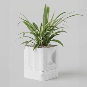 May include: A square, light gray speckled planter with vertical ribbed texture and a recessed side detail. The planter contains a spider plant with long, pointed green leaves featuring white margins, with small pebbles covering the soil surface.