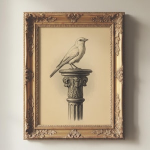 May include: A framed wall art print featuring a detailed charcoal-style illustration of a small bird perched atop a classical fluted column with ornate leaf carvings. The artwork is encased in a rectangular, antique-style gold frame with relief details.