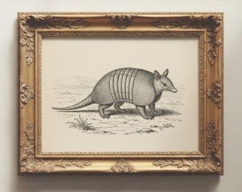 Vintage gordeldierprint | Zuidwestelijke muurkunst | Eclectisch decor | Antiek woestijndier