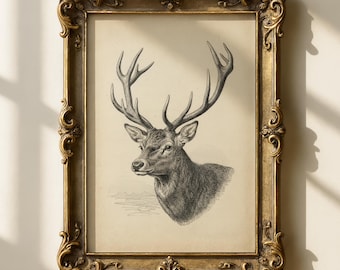 Vintage print hertenkop | Muurkunst jachthuis | Rustiek hutdecor | Antieke hertenposter