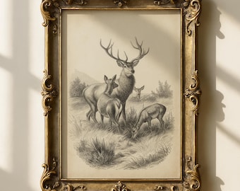 Lámina vintage de una familia de ciervos / Arte mural antiguo de ciervos / Decoración rústica de cabaña / Boceto de animales del bosque