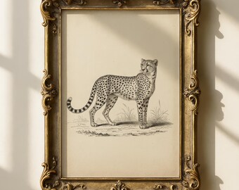 Vintage luipaardprint | Safarimuurkunst | Maximalistisch decor | Antieke luipaardschets