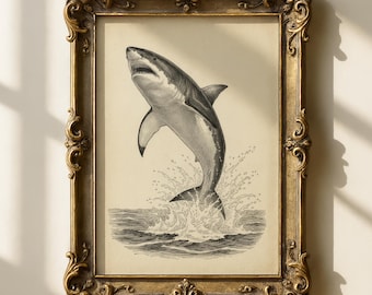 Estampado de tiburón blanco / Grabado vintage, decoración gótica costera (descarga digital)