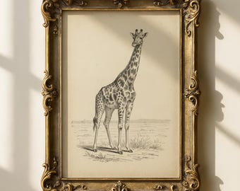Vintage giraffeprint | Safari kinderkamerdecoratie | Antieke dierenschets | Eclectische muurkunst