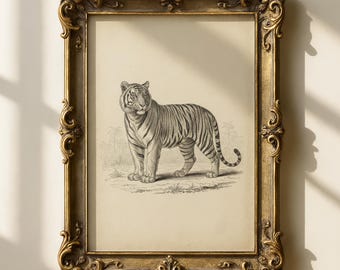 Vintage tijgerprint | Antieke Big Cat-kunst | Junglesafaridecoratie | Eclectische muurkunst