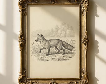Antieke Fox Sketch digitale print, vintage bos dieren muurkunst, rustiek decor, instant download