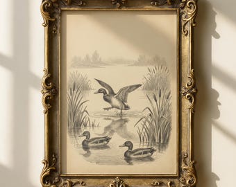 Vintage eendenprint | Muurkunst Lake House | Rustiek hutdecor | Antieke watervogels