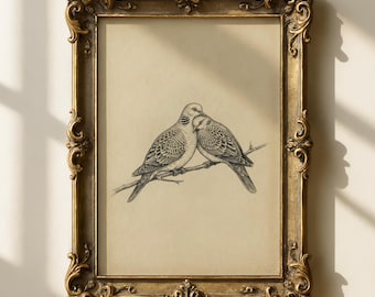 Lámina artística vintage de tórtola, boceto de pájaros del amor, descarga digital, arte mural de pájaros antiguos