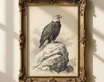 Lámina vintage de águila calva / Arte de la fauna americana / Decoración de oficina federalista / Cabaña rústica