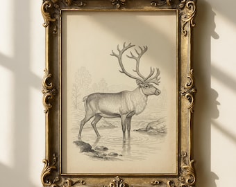 Lámina vintage de reno / Arte antiguo de caribú / Decoración rústica de invierno / Letrero de pared con temática de bosque