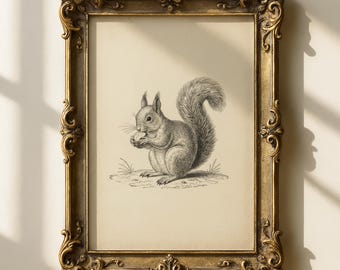 Vintage eekhoornprint | Bos kinderkamerkunst | Antieke dierenschets | Cottagecore-decor