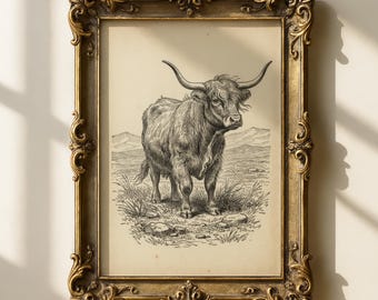Hooglandkoe lijntekeningen afdrukbare muurkunst | Antieke boerderijdierenillustratie | Rustiek boerderijdecor