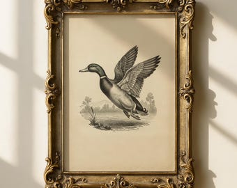 Vintage print vliegende wilde eend, antieke watervogels afdrukbare muurkunst
