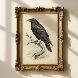 May include: A framed vintage-style print featuring a black raven perched on a branch. The raven is depicted in a detailed, monochromatic illustration. The ornate, gold-colored frame adds a classic touch to the artwork, suitable for home decor.