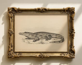 Vintage krokodillenprint | rariteitenkabinet | Eclectische muurkunst | Antieke alligator