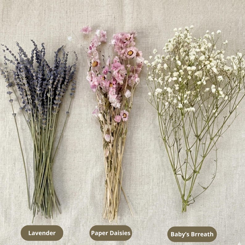 Op de afbeelding: Drie bossen gedroogde bloemen worden getoond tegen een neutrale achtergrond. De bossen omvatten lavendel, papier-madeliefjes en gipskruid. De lavendel is dieppaars, de papier-madeliefjes zijn roze en het gipskruid is wit. Tekstlabels identificeren elk bloemtype.