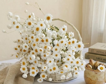 Rhodanthe Dried Flowers | Everlasting Paper Daisies | Natural Dried Floral Bouquet |  Cottagecore Decor, Gift for Her