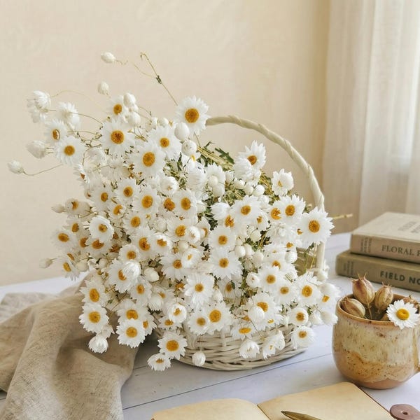 Rhodanthe Dried Flowers | Everlasting Paper Daisies | Natural Dried Floral Bouquet |  Cottagecore Decor, Gift for Her
